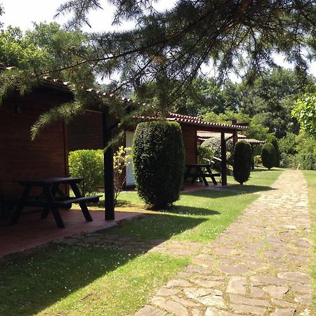 Camping Ecologic Lava Santa Pau Eksteriør bilde